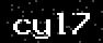 verify code