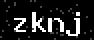 verify code