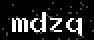 verify code