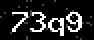 verify code
