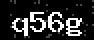 verify code