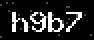 verify code