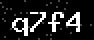 verify code